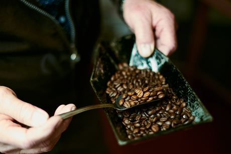 So wählen Sie die besten Kaffeebohnen für Ihre Kaffeemaschine aus